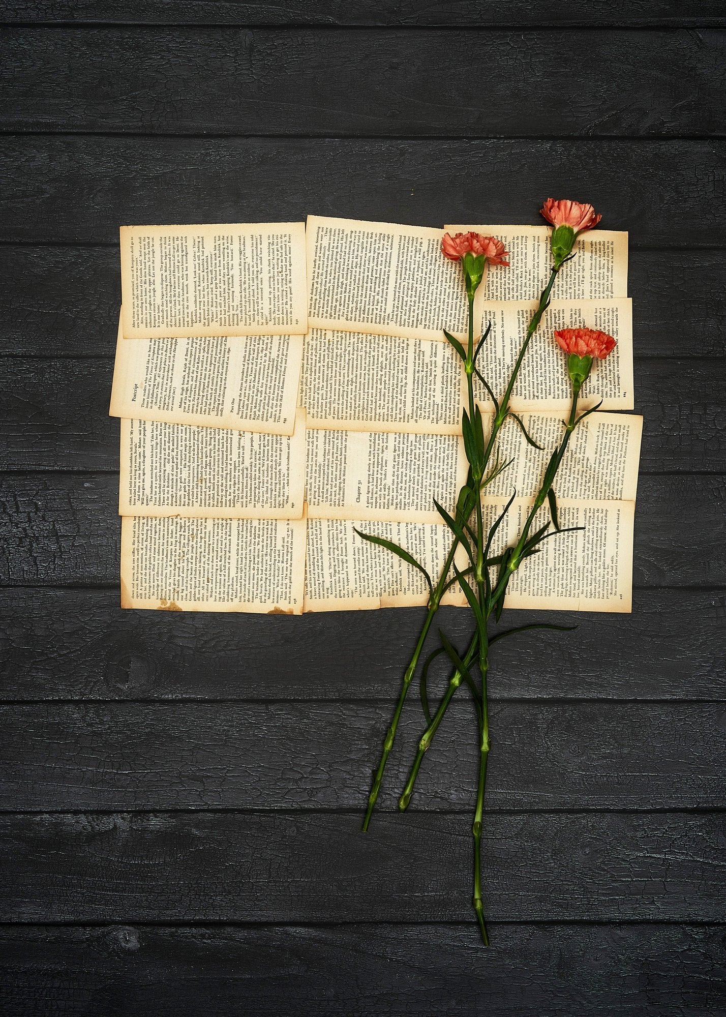 Carbon Vinyl Photography Backdrop by Club Backdrops